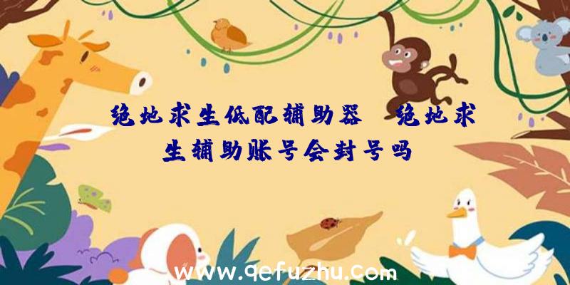 「绝地求生低配辅助器」|绝地求生辅助账号会封号吗